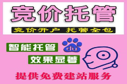 百度竞价公司成功案例：如何实现ROI最大化